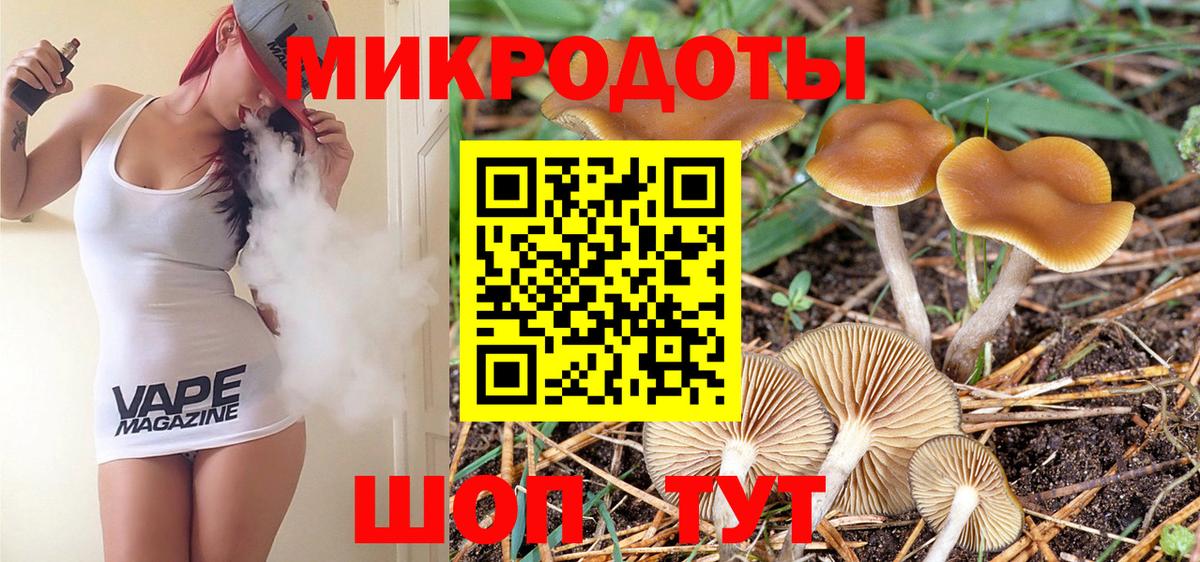 Псилоцибиновые грибы мухоморы  Галлюциногенные грибы MAGIC MUSHROOMS  Кизляр  Вход с VPN 