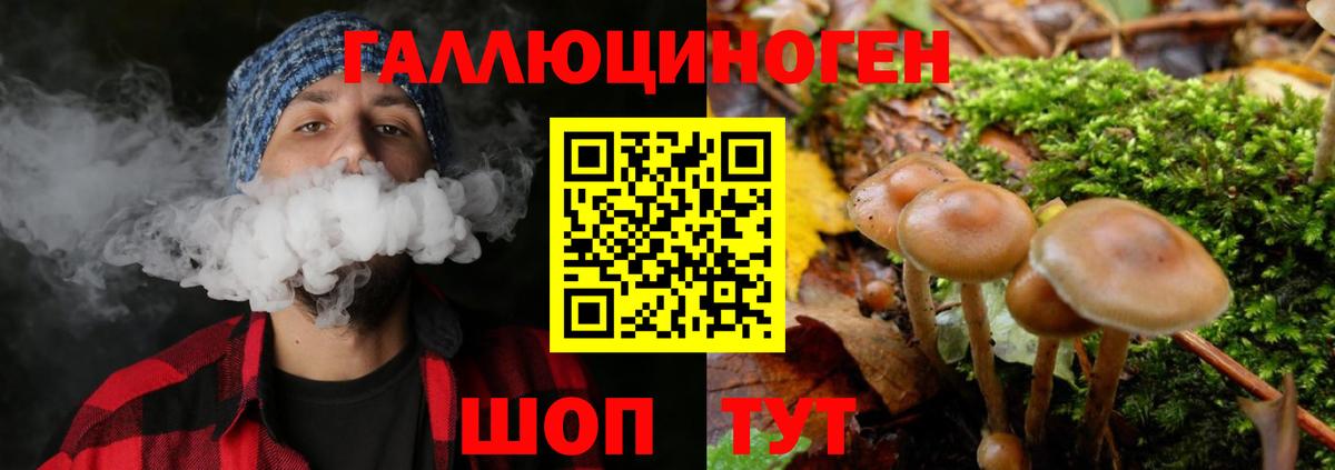 Псилоцибиновые грибы ЛСД Кизляр